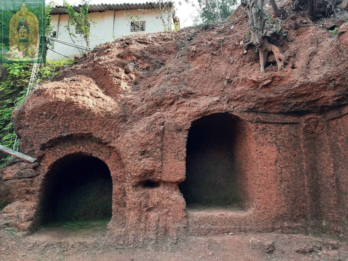 Agarshalas